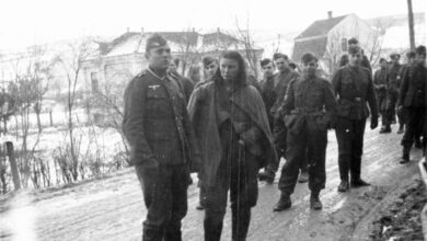 Lepa Svetozara Radić,