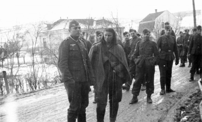 Lepa Svetozara Radić,