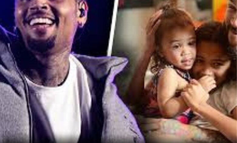 Chris Brown and the Child Support Debate: The Viral Claim Everyone Is Talking About